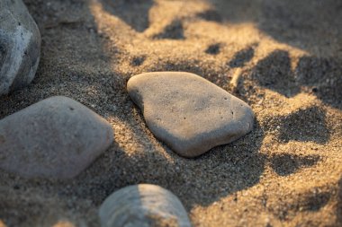 Pürüzsüz gri taşlar kumlu bir sahilde altın güneş ışığında güneşlenirler.