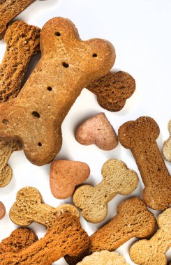 Kopya alanı olan beyaz üzerine çıtır köpek bisküvisi seçimi