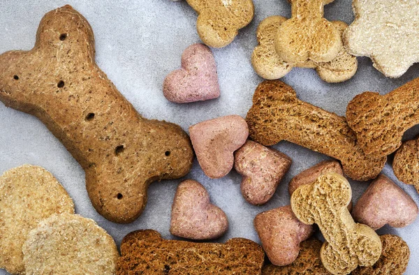 benekli gri üzerinde kopyalanmış alanlı gevrek köpek bisküvileri seçimi