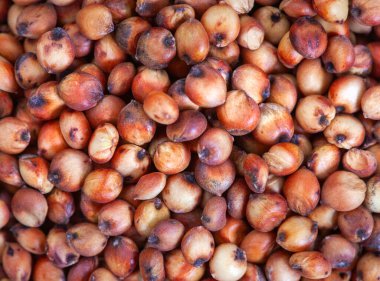 Tam Okuyucu süpürgesi, eski tahıl. Tanecikler ve arkaplan resmi üzerine tam çerçeve kapat