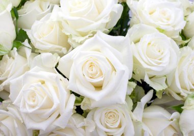 Beyaz güller bir vazoda düzenlenir. Güller taze ve canlı, taç yaprakları hala bozulmamış. Buket sevginin ve sevginin sembolüdür.