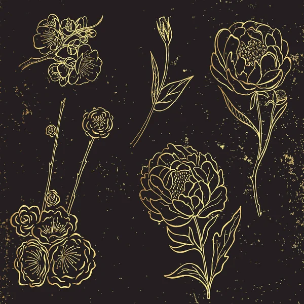 Altın Koleksiyonu Şakayık Gül Yapraklar Çizilmiş — Stok Vektör