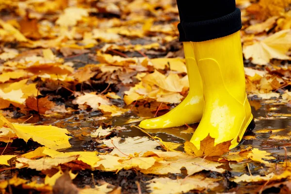 stock image woman wearing yellow rain boots walking into puddle with maple leaves in autumn park