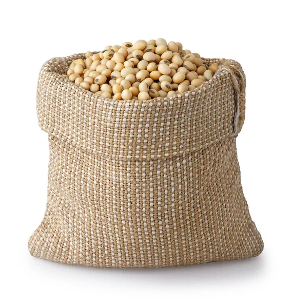 白背景隔膜袋中的干大豆 — 图库照片