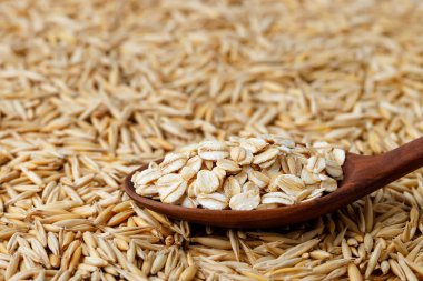uncooked oatmeal in wooden spoon on oat grains as background