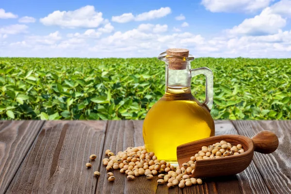 soybean oil in glass jug with dry soy seeds in scoop on wooden table and green agriculture field on the background