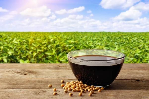 Soy Sauce Glass Bowl Dry Soybeans Wooden Table Green Agriculture — Stock Photo, Image