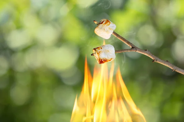 stock image two marshmallows on wooden stick toasting in fire with green blurred background