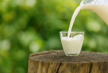 Süt, arka planda yeşil bahçe olan tahtadan kütüğe, sürahide akıyor.