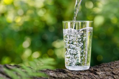 Eğreltiotu yaprağı ve yeşil doğal arka planı olan kütüklerin üzerine dökülen su.