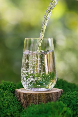 Su, yosun ve yeşil doğal arkaplan ile kütüğün üzerine dökülüyor.