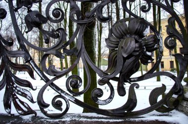 Mikhailovsky Bahçesi 'nin güzel demirden çitleri yakın plan, St. Petersburg, Rusya' ya seyahat, tarihi anıt, sanat, jöle çiçekleri