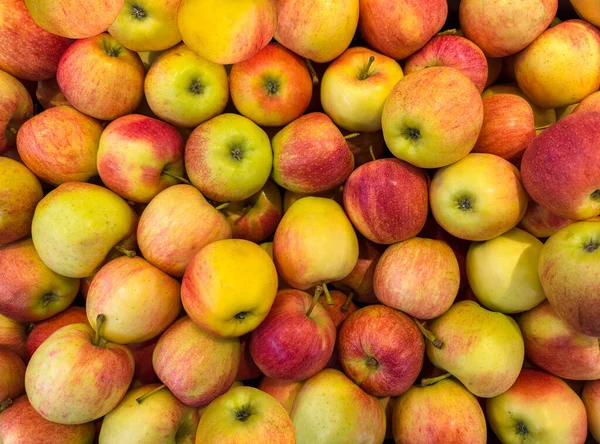 Apfel Rohe Frucht Hintergrund Sammlung Gesunder Bio Frischprodukte — Stockfoto