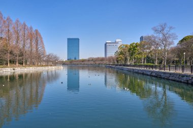 Şehir parkında göl, mavi gökyüzü