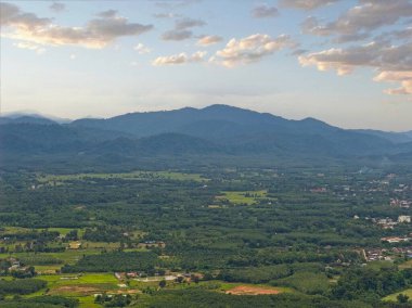 Orman dağlarının hava manzarası