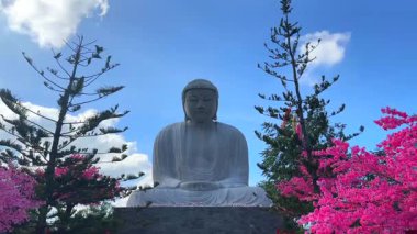 Çiçekleri ve ağaçları olan büyük Buda heykeli mavi gökyüzü günü