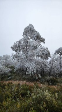 La Mola de Colldejou-Serra de Llaberia-Baix Kampı Costa Daurada-Tarragona