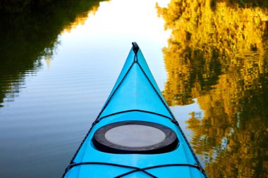 Mavi kano burnu ve Tuna Nehri 'ndeki ağaçların yansıması.