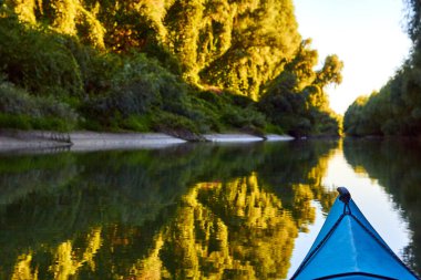Tuna nehrinin kıyısında batan güneşin ışınlarıyla aydınlatılan ağaçlardan ve yabani üzümlerden oluşan yoğun yeşil çalılıklara karşı mavi kano (yay, burun).