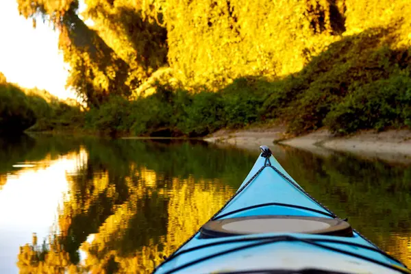 Tuna nehrinin kıyısında batan güneşin ışınlarıyla aydınlatılan ağaçlardan ve yabani üzümlerden oluşan yoğun yeşil çalılıklara karşı mavi kano (yay, burun).