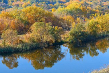 Nehrin en üst manzarasında şafak vakti boyunca akıntı ve sonbahar ağaçları var. Sonbahar nehir manzarası