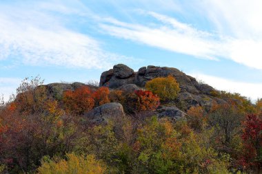 Kayalarda büyüyen ağaçlarla dolu sonbahar manzarası bulutlu bir gökyüzünün arka planına karşı.