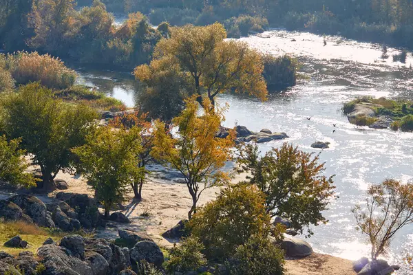 Nehrin en üst manzarasında şafak vakti boyunca akıntı ve sonbahar ağaçları var. Sonbahar nehir manzarası