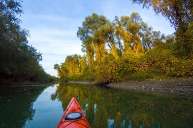Güneşli bir sonbahar gününde, suya yansıyan sarı yapraklara karşı nehirde yelken açan kırmızı kano.