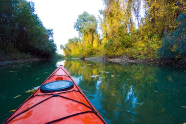 Güneşli bir sonbahar gününde, suya yansıyan sarı yapraklara karşı nehirde yelken açan kırmızı kano.