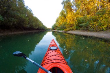 Güneşli bir sonbahar gününde, suya yansıyan sarı yapraklara karşı nehirde yelken açan kırmızı kano.