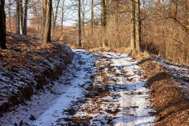 Karda yol ormanda ağaçların arasında ilkbaharın başında