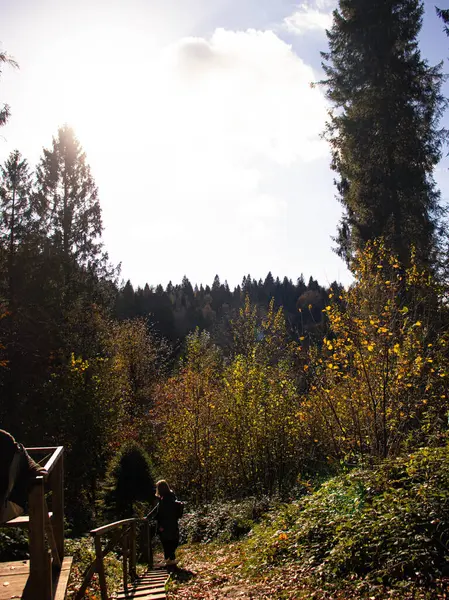 Dağlara güneşli bir yolculuk