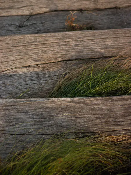 Çimenli Tahta Merdiven