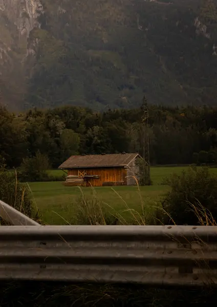 Sessiz Alp Çayırı 'nda Yapayalnız Ahşap Kulübe