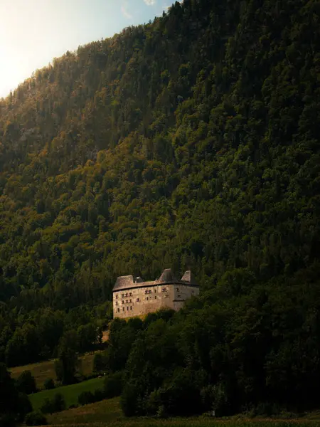Ortaçağ Şatosu Avusturya 'nın Orman Tepesi' ne tünemişti.