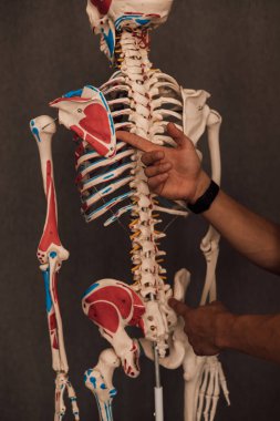 a man holds a skeleton leg in his hands and points a finger at it. High quality photo