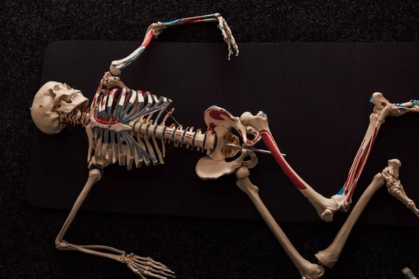 Esqueleto Humano Encontra Num Piso Escuro Vista Superior Foto Alta — Fotografia de Stock