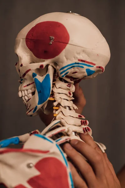 Mężczyzna Trzyma Rękach Nogę Szkieletu Wskazuje Palcem Nią Wysokiej Jakości — Zdjęcie stockowe