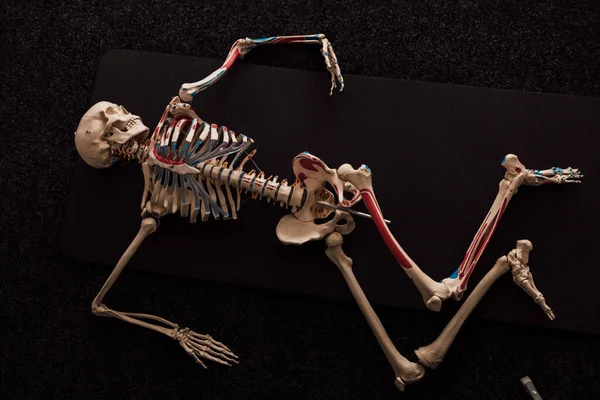 Ludzki Szkielet Leży Ciemnej Podłodze Widok Góry Wysokiej Jakości Zdjęcie — Zdjęcie stockowe