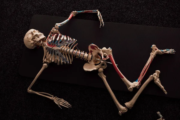 Het Menselijk Skelet Ligt Een Donkere Vloer Bovenaanzicht Hoge Kwaliteit — Stockfoto