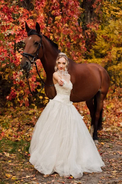 Uma Bela Noiva Jovem Fica Lado Cavalo Floresta Outono Dia — Fotografia de Stock