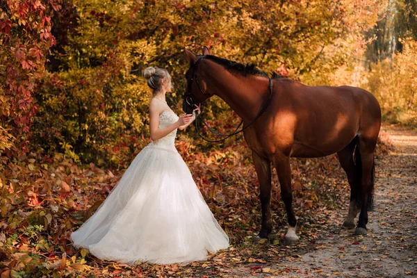 Piękna Młoda Panna Młoda Stoi Obok Konia Jesiennym Lesie Ciepły — Zdjęcie stockowe