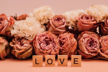 Tek renkli arka planda turuncu güller serilmiştir. Bahar. Yüksek kalite fotoğraf