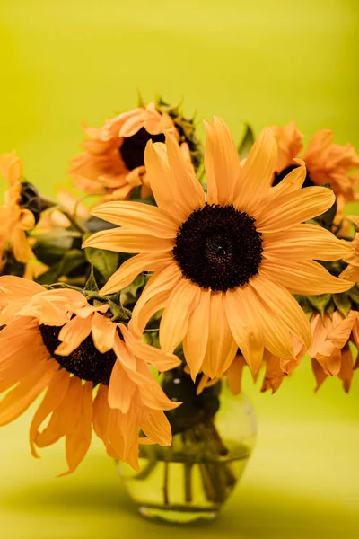 Bukett Med Ljusa Gula Stora Solrosor Vackra Färska Blommor Högkvalitativt — Stockfoto
