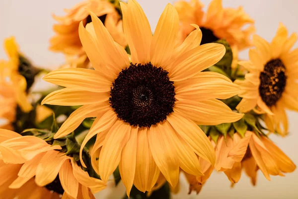 Bukett Med Ljusa Gula Stora Solrosor Vackra Färska Blommor Högkvalitativt — Stockfoto