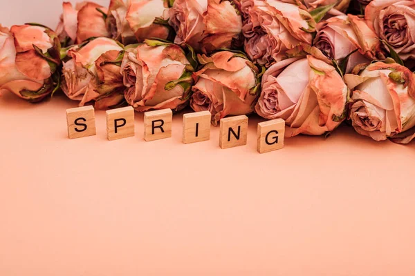 Помаранчеві Троянди Викладаються Монохроматичному Тлі Весна Високоякісна Фотографія — стокове фото
