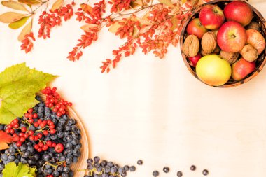 Arka planda meyveler, böğürtlenler ve fındıklar sonbahar kompozisyonu. Yüksek kalite fotoğraf