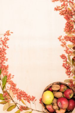 Arka planda meyveler, böğürtlenler ve fındıklar sonbahar kompozisyonu. Yüksek kalite fotoğraf