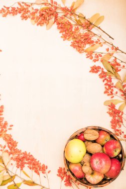 Arka planda meyveler, böğürtlenler ve fındıklar sonbahar kompozisyonu. Yüksek kalite fotoğraf