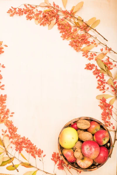 Herfst Samenstelling Van Fruit Bessen Noten Een Lichte Achtergrond Hoge — Stockfoto